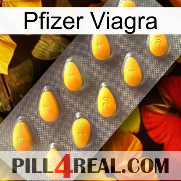 Pfizer Viagra cialis1.jpg